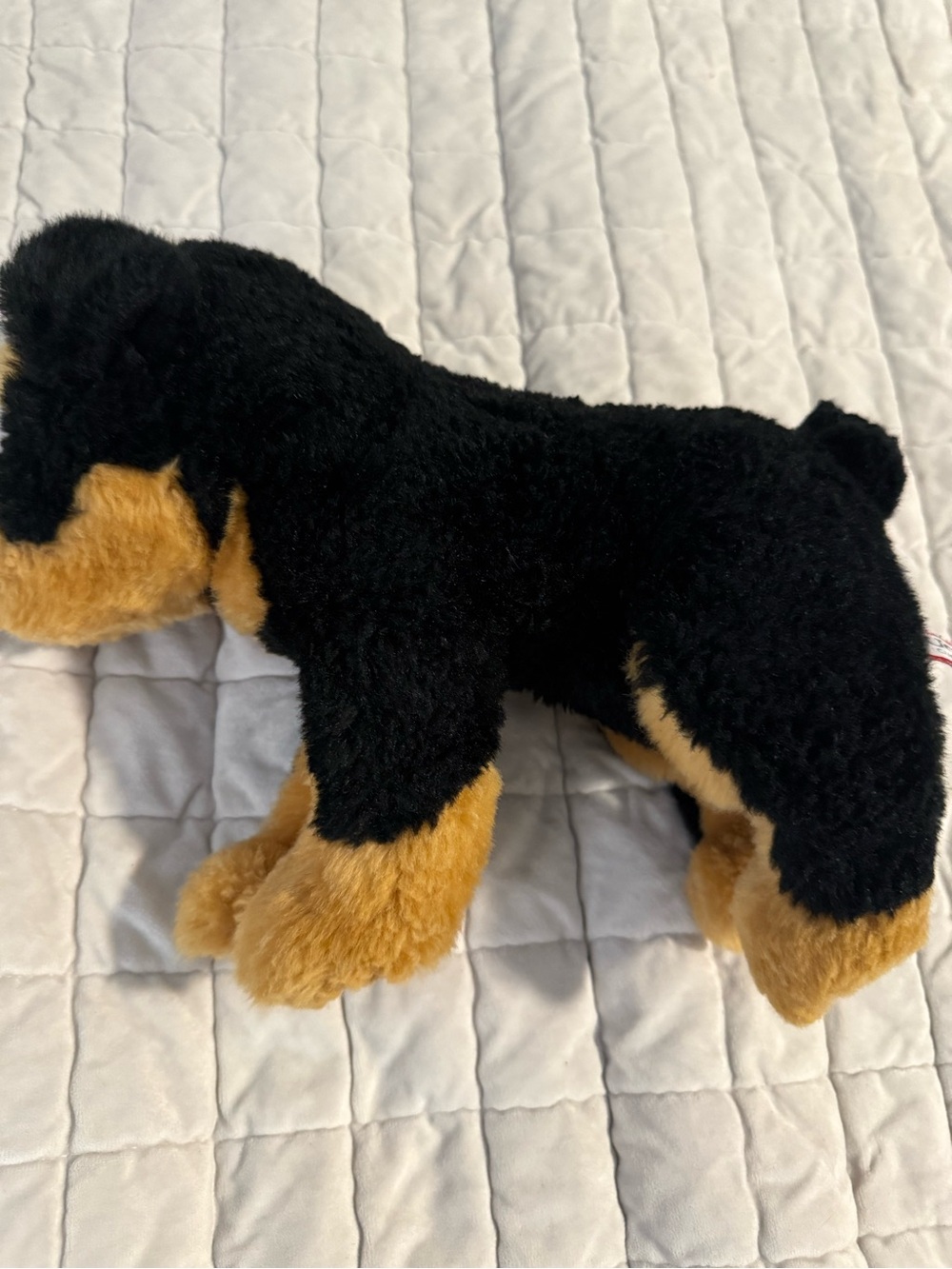 Douglas Rottweiler Plush - Picture 4 of 5
